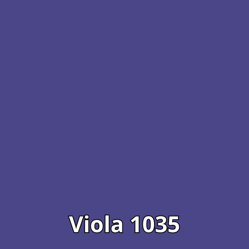 Viola